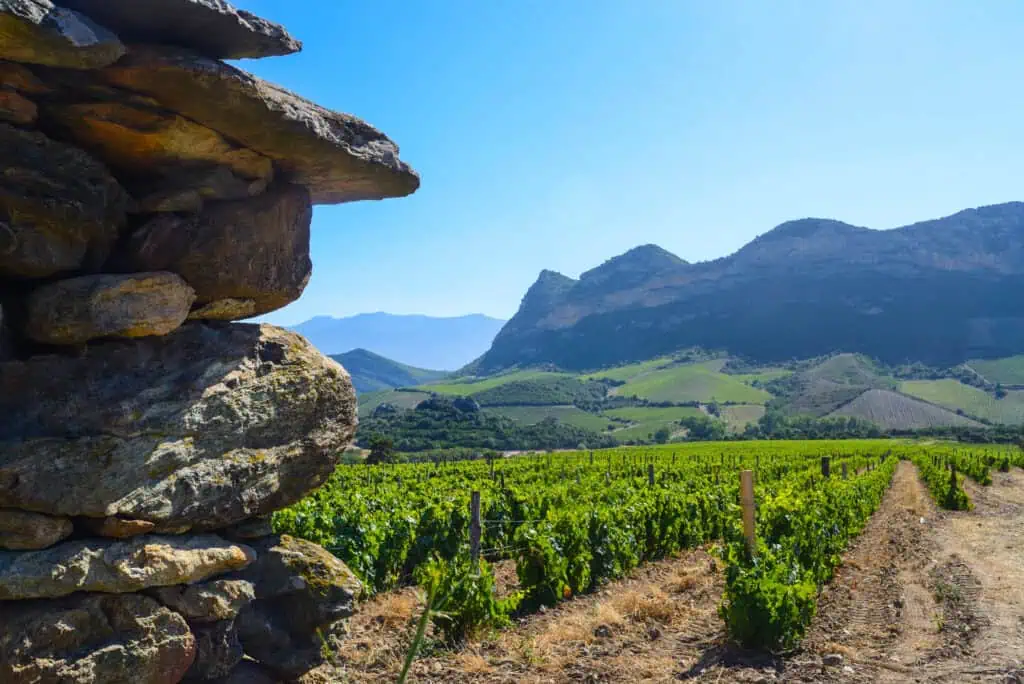 Diversité des vins Corse