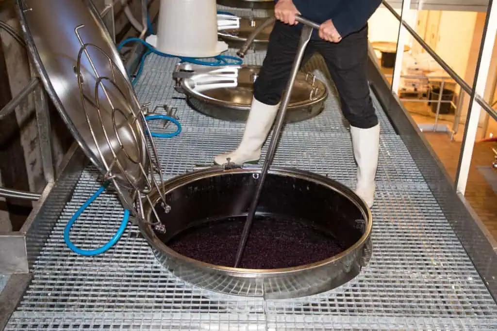 Etapes de préparation du vin dans le chai
