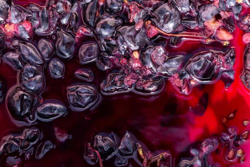 Les différents types de vinification