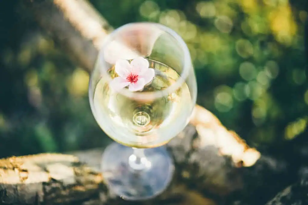 Les grandes familles d'arômes du vin