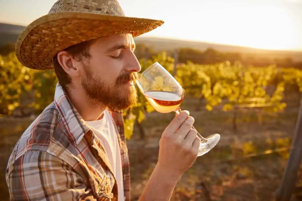 Qu'est-ce que la degustation d'un vin
