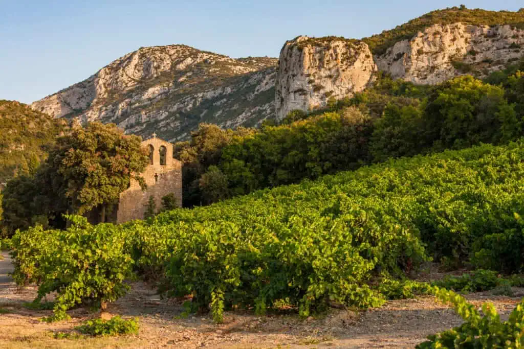 vins biologiques du languedoc-roussillon
