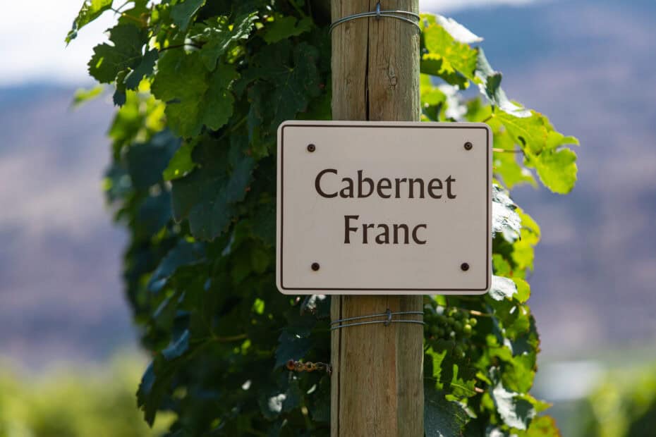Cabernet franc