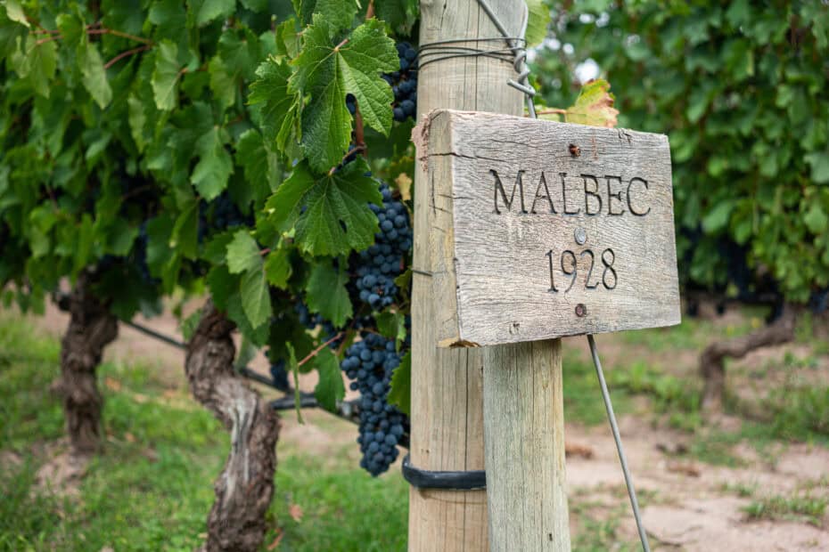 Malbec
