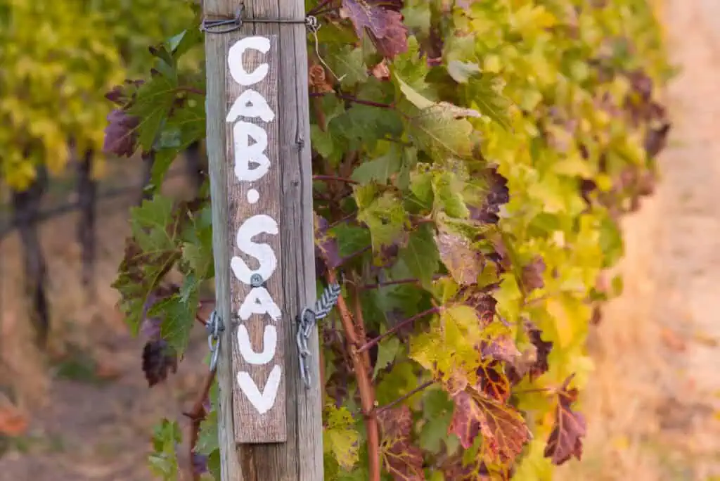Principales régions de production du cabernet sauvignon