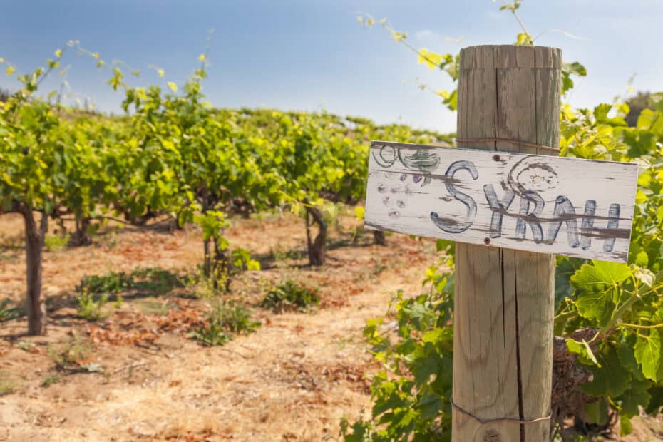 Syrah