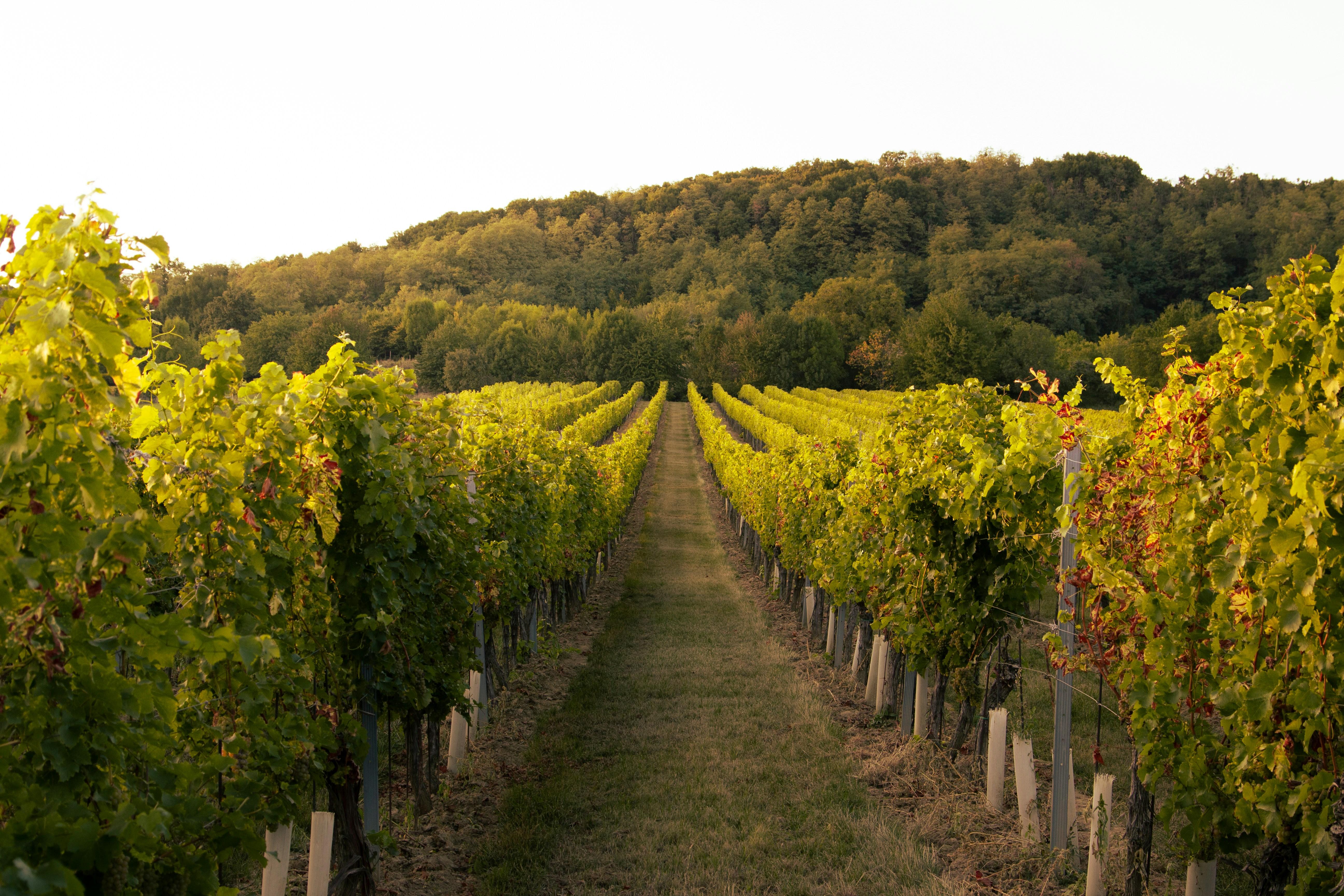 Les terroirs